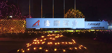 靜謐夜空月色朦朧，賽豪燈光默默守候